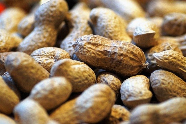 europe-approves-anti-peanut-allergy-drug-by-nestle