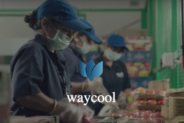 waycool-foods-receives-5-5-m-debt-financing