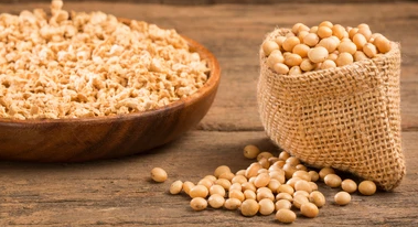 adm-invests-350m-in-new-soybean-crushing-facility-in-us