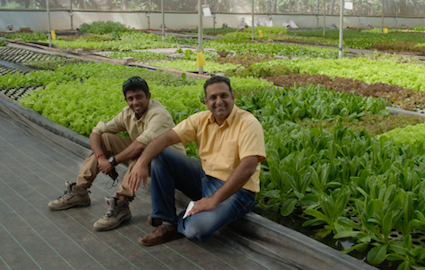 bengaluru-based-startup-gourmet-garden-raises-rs-25-cr-in-latest-round