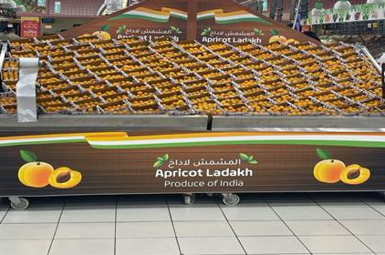 apeda-boosts-export-of-apricots-from-ladakh