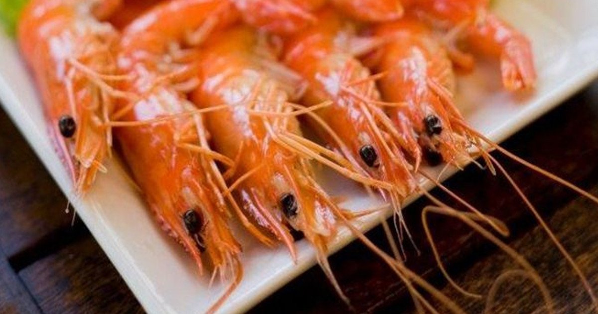 Aquaconnect, Morgan to use ML to predict shrimp diseases