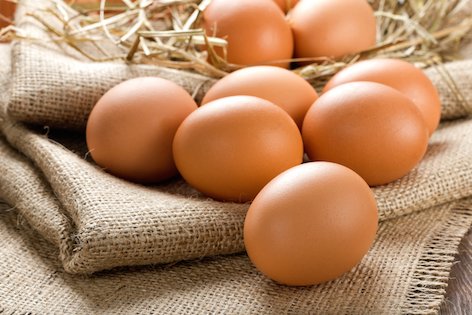 experts-recommend-eggs-for-healthy-brain-development