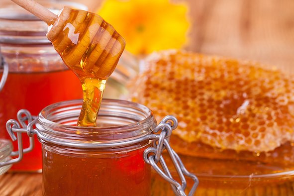 government-launches-honey-testing-laboratory-project