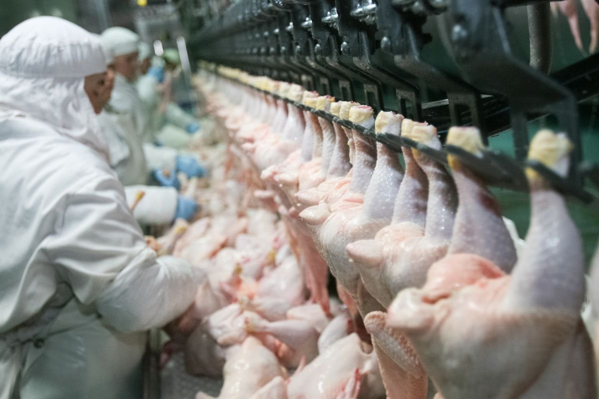 cdc-to-vaccinate-meat-and-poultry-workers-on-priority