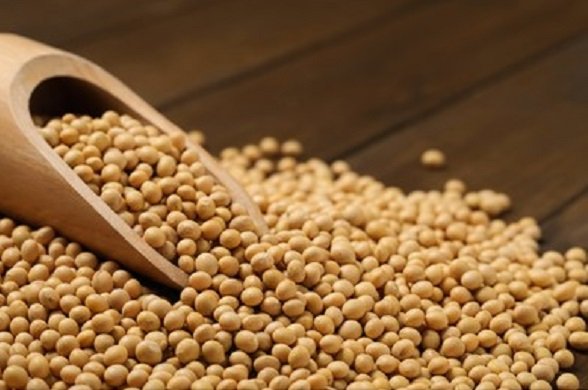 becks-buys-bayer-facility-in-iowa-for-soyabean-production
