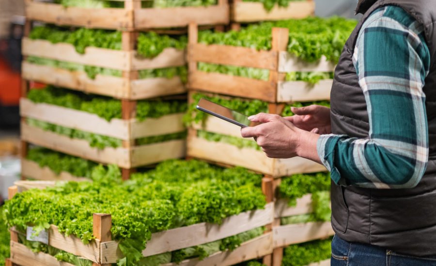 Supplier engagement key for sustainable food supply chains
