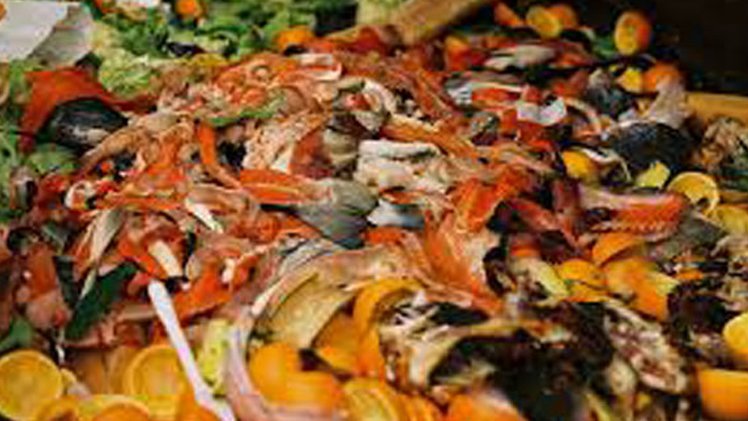 UK government appoints its first Food Waste Champion