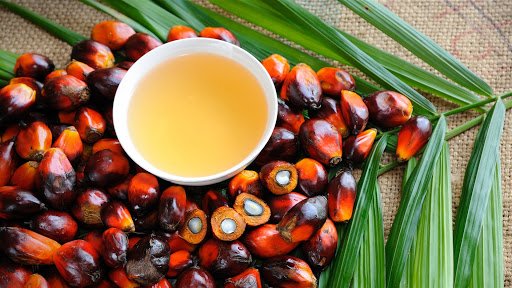 centre-reduces-duty-on-crude-palm-oil-by-5